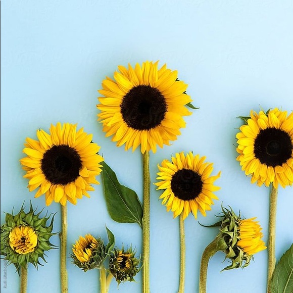 Welcome :) - Picture 1 of 1